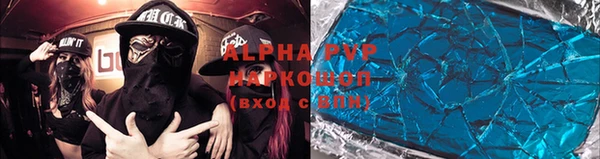 гашик Корсаков