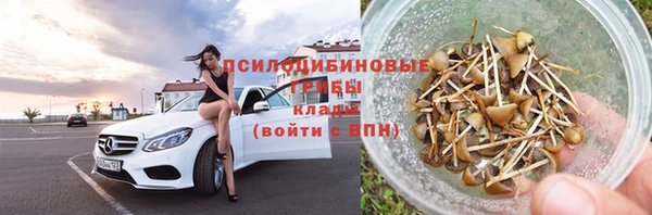 гашик Корсаков